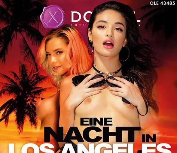 洛杉矶一夜情