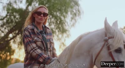 无法无天第四集